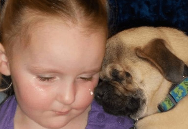 Perro sin ojos, ayuda a mujeres y niños víctimas de los malos tratos