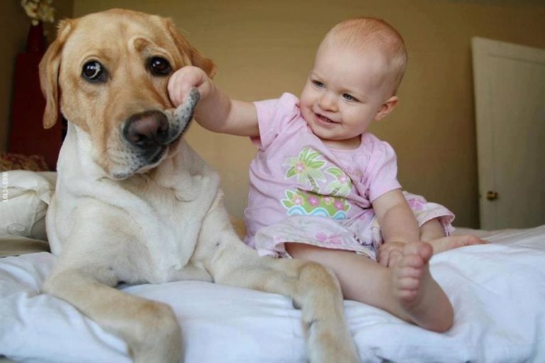 Descubre unas cuantas razones del por qué es bueno que los niños estén con perros