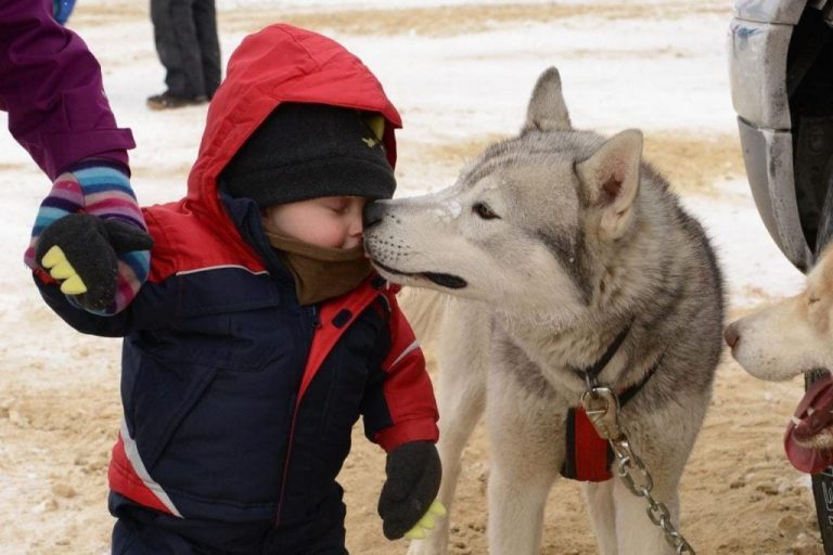 21 imágenes que te recordarán lo agradecido que tienes que estar por tu perro