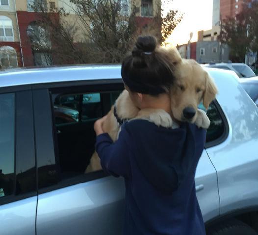 22 razones por las que amamos incondicionalmente a nuestros perros