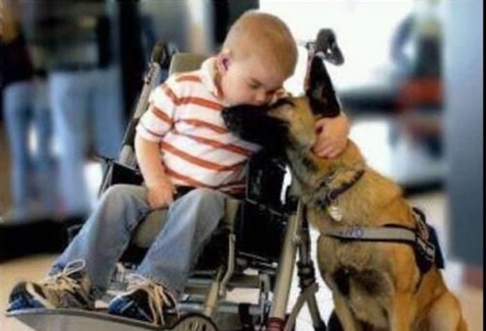 amor incondicional destacada