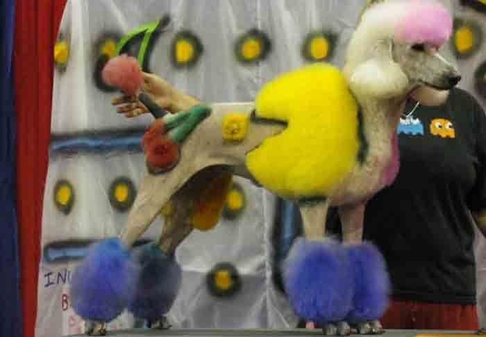 Los peores cortes de pelo 9