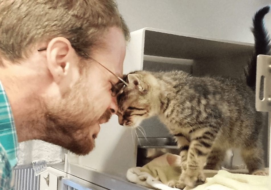 Preciosas imágenes de animales siendo adoptados por primera vez
