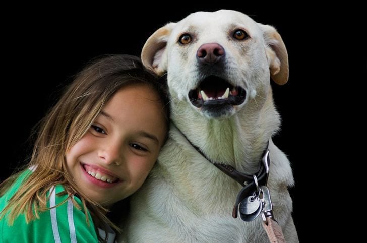 Las frases sobre perros que no debes decir