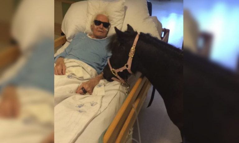 Un anciano recibió la visita inesperada  en la residencia de su poni favorito