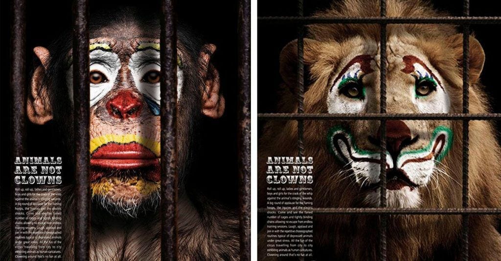 Estos impactantes anuncios en defensa de los animales te van a cambiar
