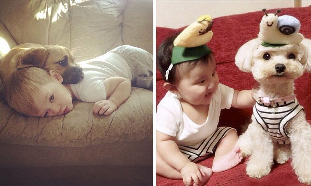 25 imágenes que ponen de manifiesto el cariño que se profesan perros y bebés
