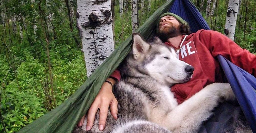 Viaja por el mundo con su «lobo» y juntos se convierten en un fenómeno de las redes sociales