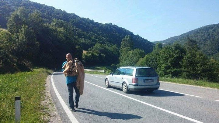 Una perrita desesperada para el tráfico y guía a unas personas a rescatar a sus cachorros