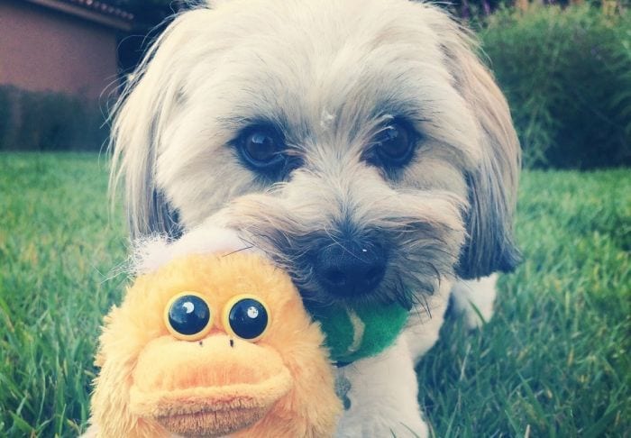 jill layton destacada