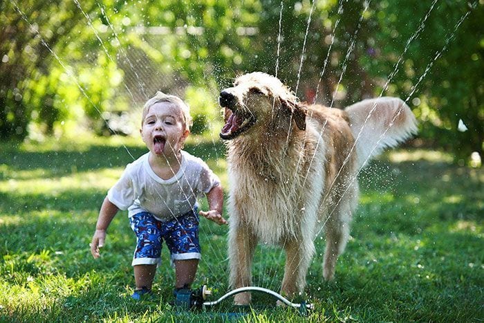 25 fotos que demuestran que la amistad entre niños y animales es insuperable