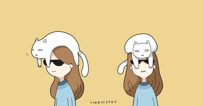 beneficios gatos dest