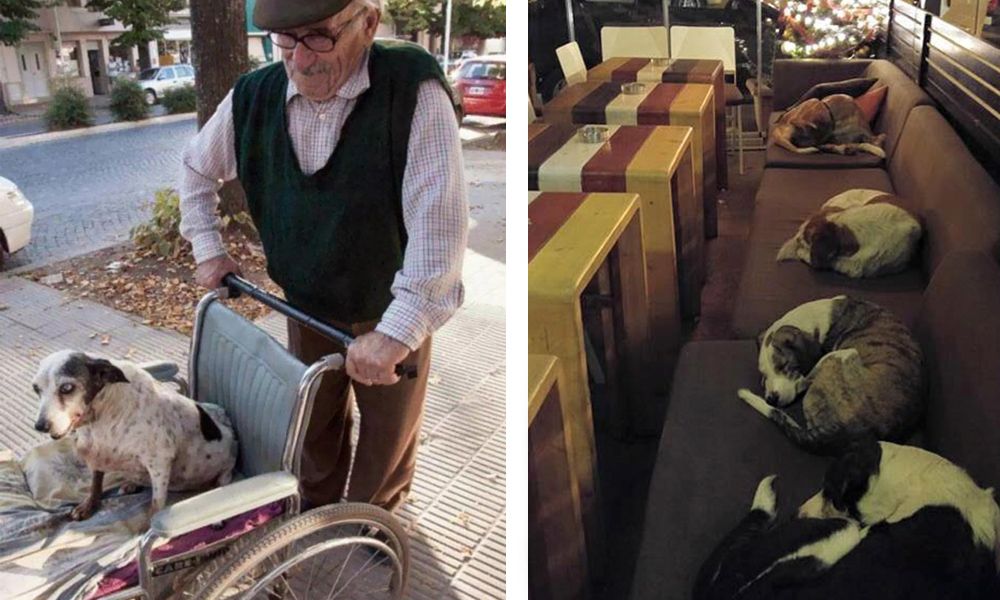 20 noticias que demuestran que el 2015 fue un gran año