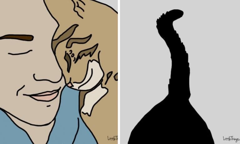 10 maneras que tiene tu gato de decirte ‘te quiero’ y que deberías reconocer