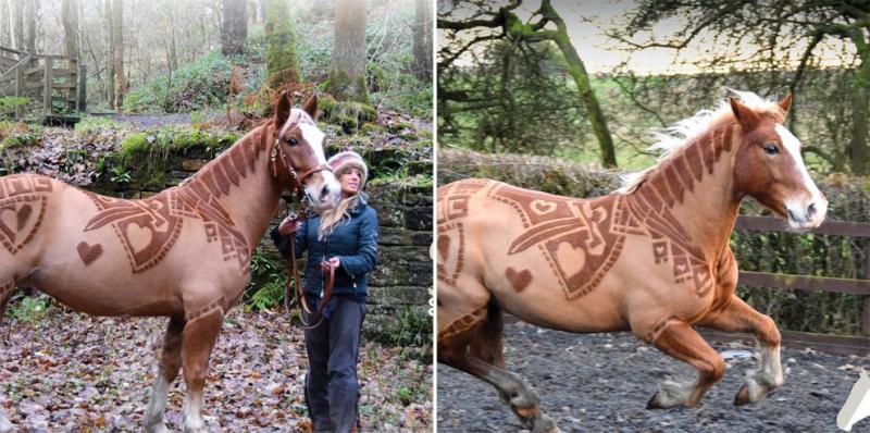 La última moda de cortes de pelo para caballos: ¿estética o crueldad?
