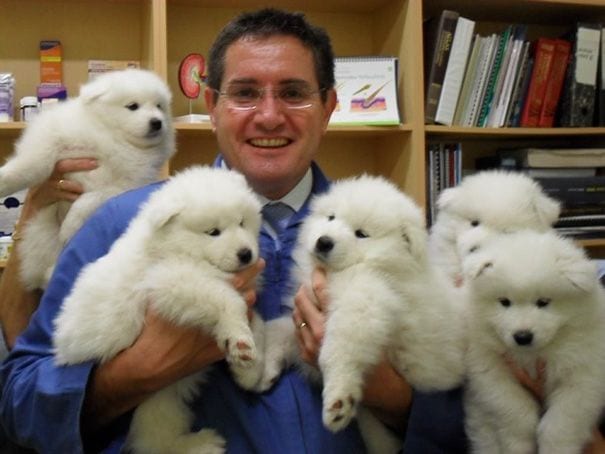 ventajas veterinario 05