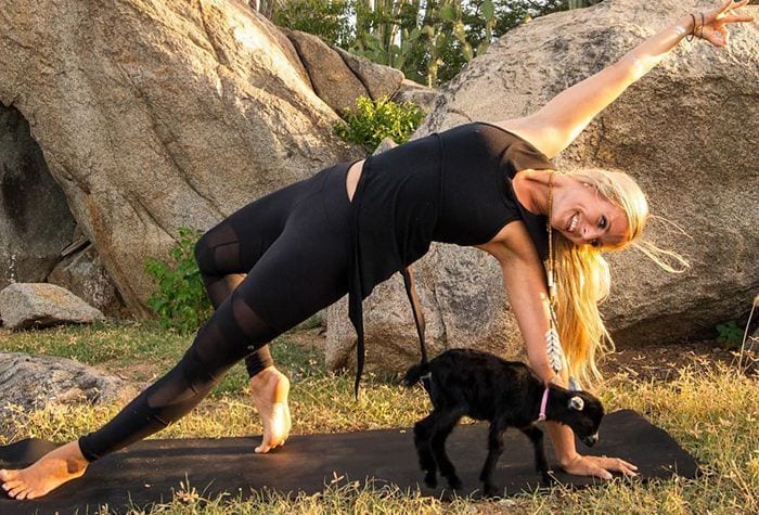 A esta cabra le encanta acompañar a su humana a todas sus clases de yoga