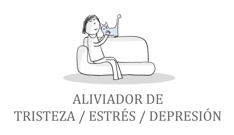 17 trabajos fundamentales que ocupan los gatos y por los que deberían cobrar