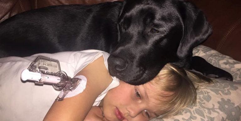 Un perro le salva la vida a un niño mientras sus padres dormían