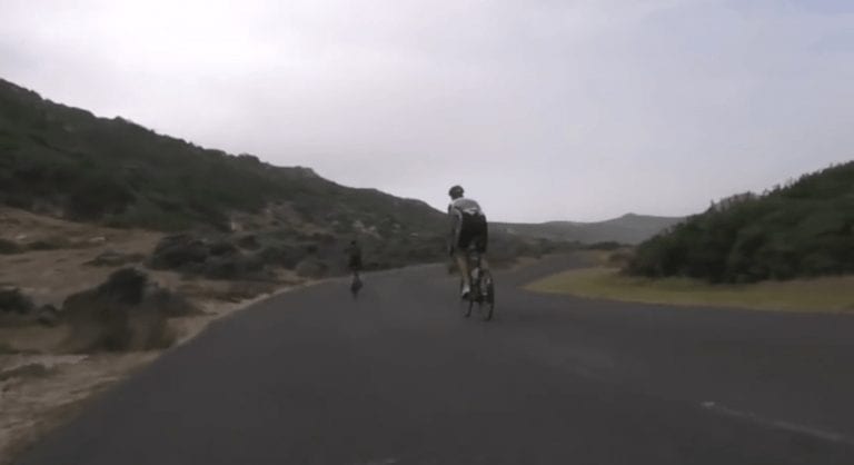 Una avestruz se une a la carrera de dos ciclistas en plena montaña