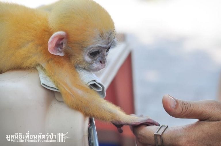 Esta imagen no es tierna, es realmente triste y esconde una historia que debemos cambiar todos