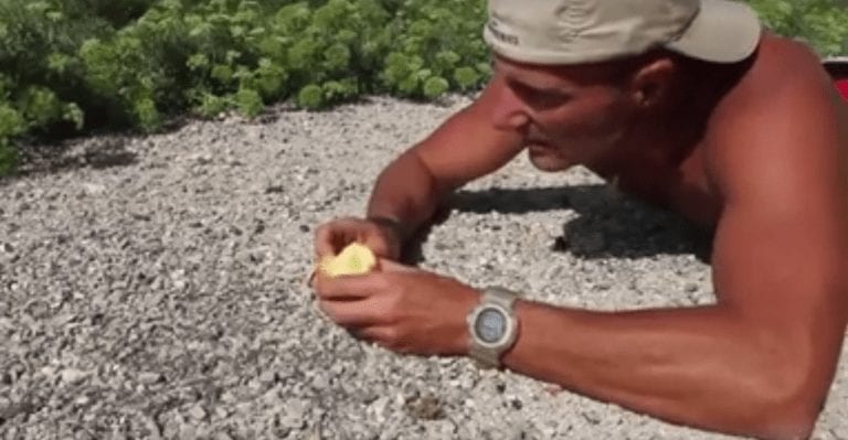 Este hombre comparte una manzana con un grupo de asombrosos lagartos