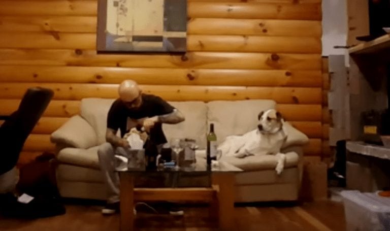 Este perro quiere probar el sándwich de su humano, pero lo disimula lo mejor que puede