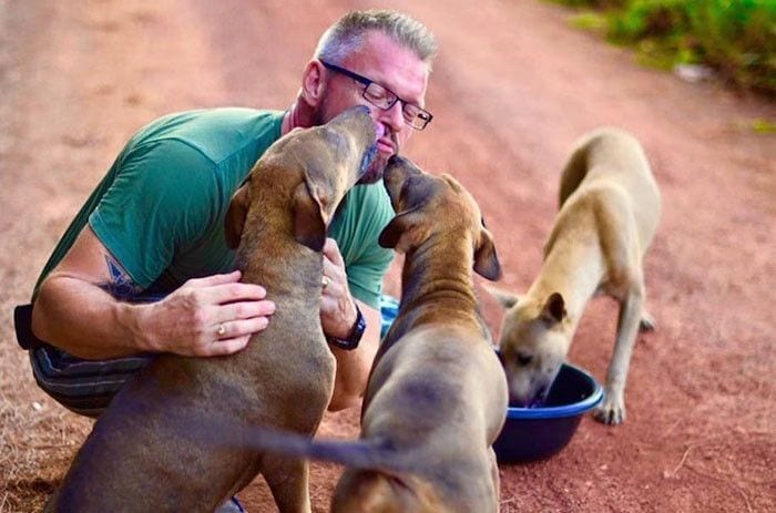 De camino al trabajo, este hombre da de comer a 80 perros callejeros cada día