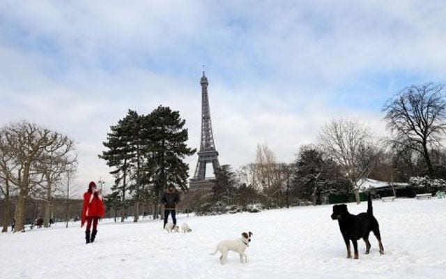ley animales francia 02