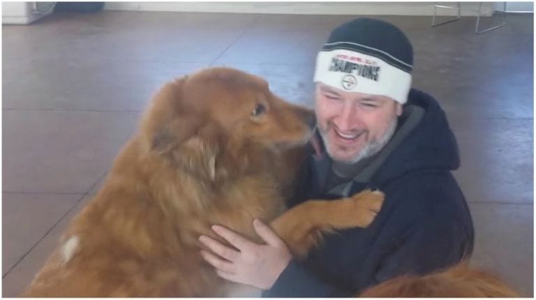 No te pierdas el emotivo reencuentro de un perro y su familia después de pasar 20 meses perdido