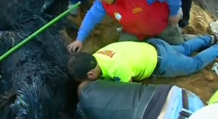 Una perra entierra a sus cachorros durante un incendio y los salva de una muerte segura