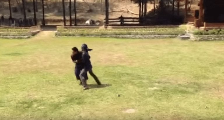 Un elefante sale en defensa de un hombre al que están agrediendo
