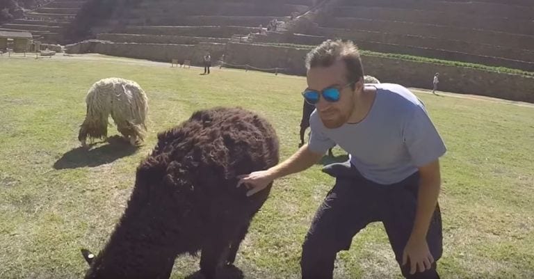 Este vídeo demuestra por qué jamás debes molestar a los animales