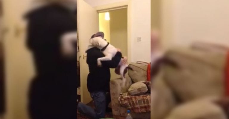 Rescató a un perro, pero tuvo que salir una semana de viaje. Mira cómo lo recibe a su vuelta
