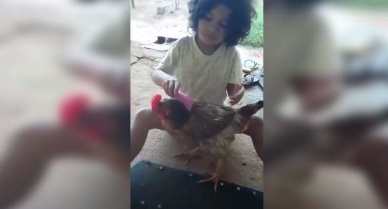 Esta niña ha encontrado en esta gallina a su amiga de juegos más peculiar