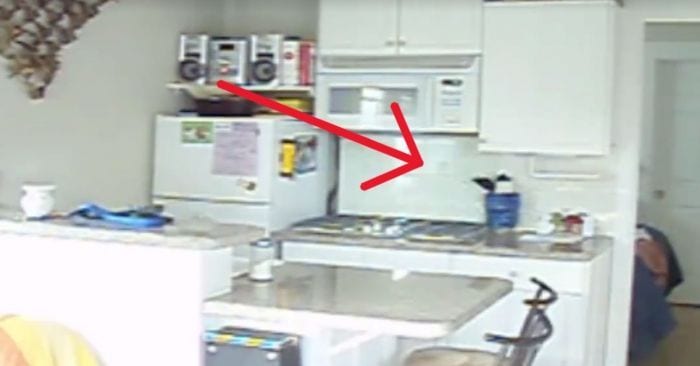 ladron perro comida encimera