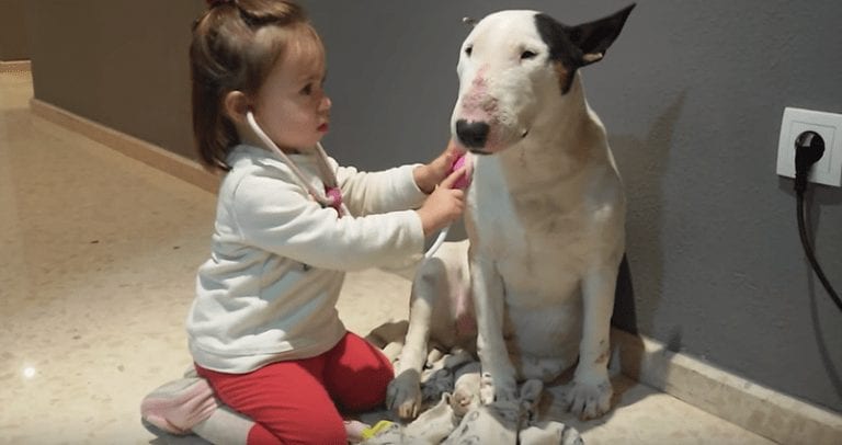 Esto es lo que pasa cuando una niña juega con un perro potencialmente «paciente»