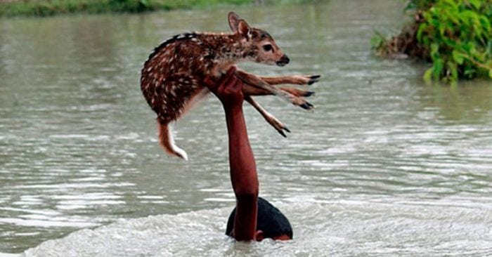 ninos fe humanidad dest