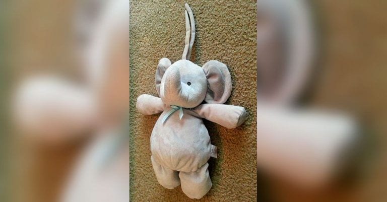 Un niño pierde su peluche preferido y cientos de internautas hacen algo genial por él