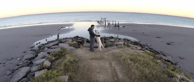 Este emotivo video te muestra lo que te diría tu perro si pudiese hablar