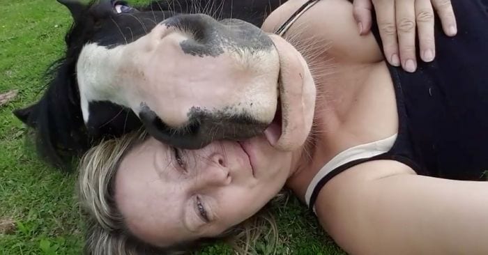 caballo carinoso tumbado