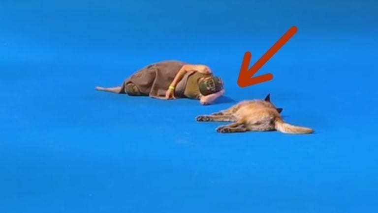 Su perro y ella se tumban en el escenario. ¿Lo que pasa a continuación? Espectacular