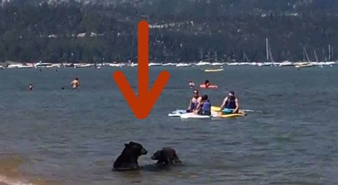 playa canada destacada 1