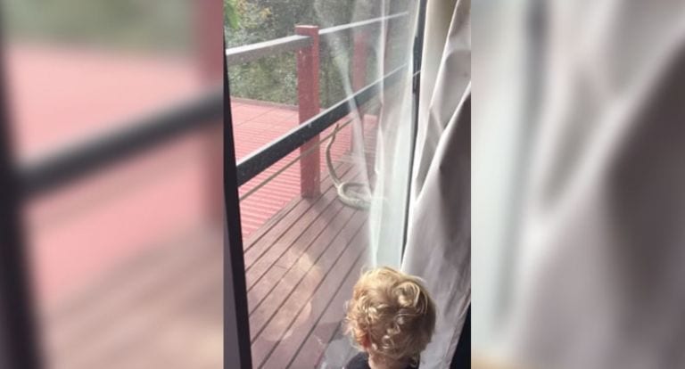 En Australia no necesitan ver documentales, solo tienen que asomarse a la ventana