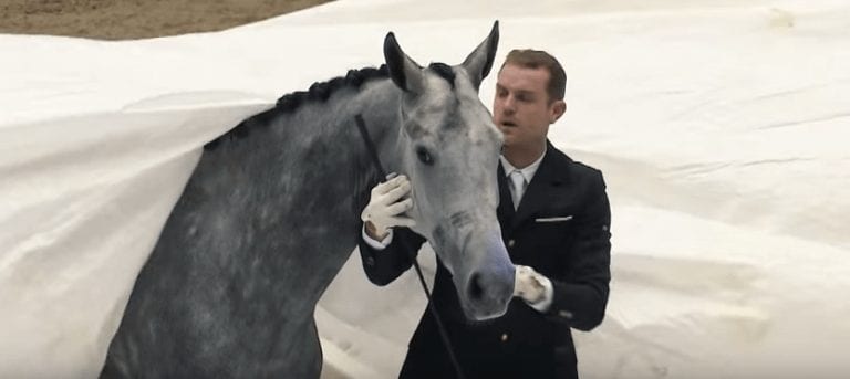 Un caballo aparece en escena y cuando lo cubren con la lona el público enloquece