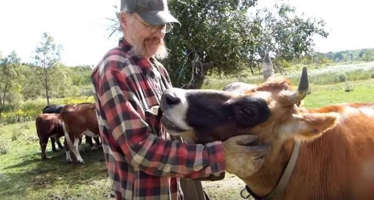 Se dedicaba a criar animales para vender su carne, pero ha dado un giro completo a su granja