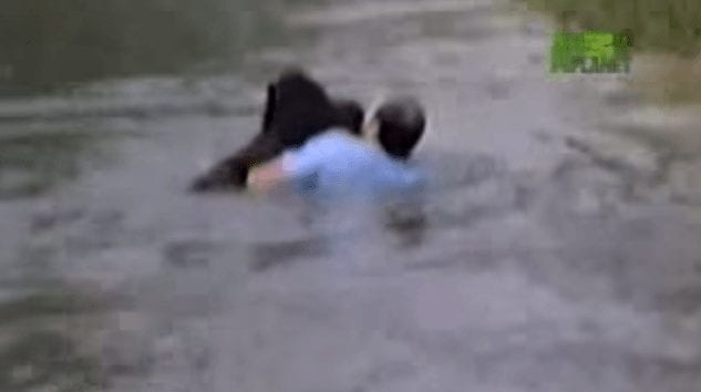 hombre salva chimpance