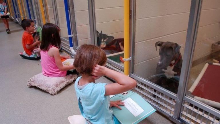 Las perreras se llenan de niños con libros por un motivo muy especial