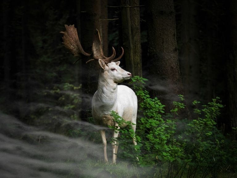 20 imágenes que demuestran que la naturaleza no necesita Photoshop