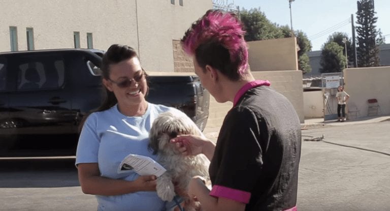 Nadie quería adoptar a este perro por su aspecto y la peluquería le consiguió un hogar